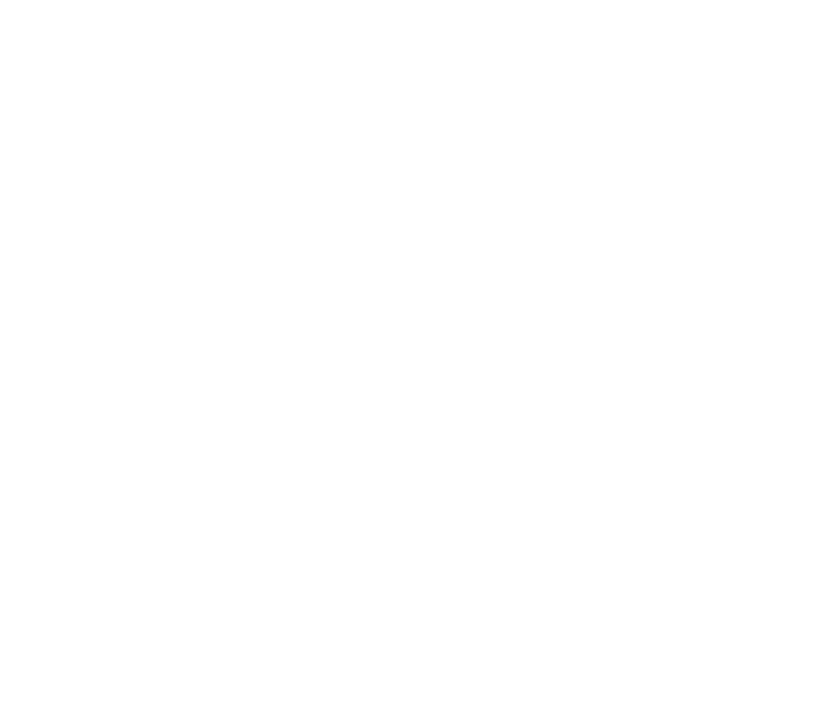 The Brand Guys